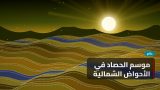 موسم الحصاد في الأحواض الشمالية: محاصيل أوفر بفضل الري الذكي
