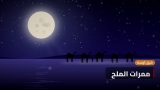 ممرات الملح: رحلة في أقدم طرق التجارة بين الواحات والموانئ